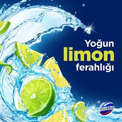 Domestos Tuvalet Bloğu Limon Bahçesi 100 G