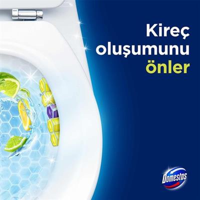 Domestos Tuvalet Bloğu Limon Bahçesi 100 G