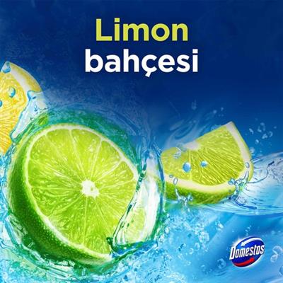 Domestos Tuvalet Bloğu Limon Bahçesi 100 G