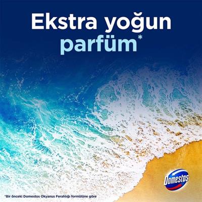 Domestos Tuvalet Bloğu Okyanus Esintisi 100 G