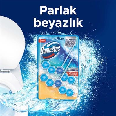 Domestos Tuvalet Bloğu Okyanus Esintisi 100 G