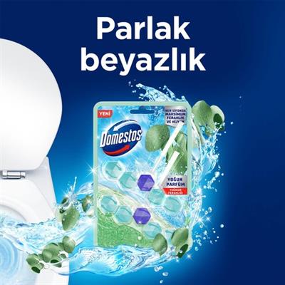 Domestos Tuvalet Bloğu Yağmur Ferahlığı 100 G