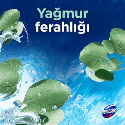 Domestos Tuvalet Bloğu Yağmur Ferahlığı 100 G