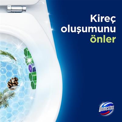 Domestos WC Blok 5li Güç Tuvalet Bloğu Çam Ferahlığı Maksimum Hijyen 100 G