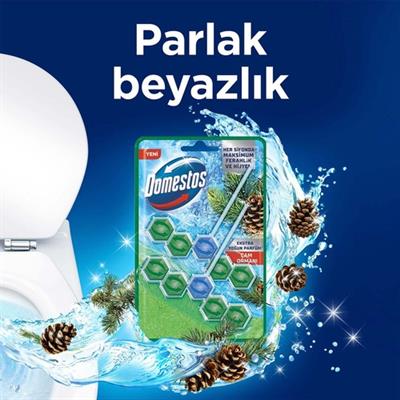 Domestos WC Blok 5li Güç Tuvalet Bloğu Çam Ferahlığı Maksimum Hijyen 100 G