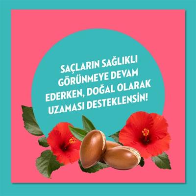 Elidor Doğanın Enerjisi Saç Bakım Şampuanı Argan Yağı Hibiskus Özü 500 ml
