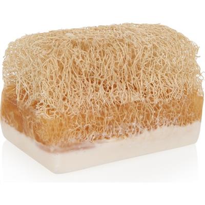 Eloque %100 Doğal Kabak Lifli Shea Butter Süt Sabun - 120 gr ( Gliserinli )
