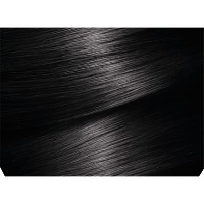 Garnier Color Naturals 1 Siyah