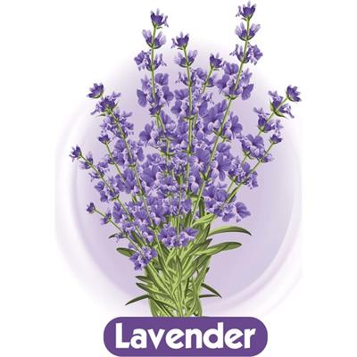 Ladyfit Pamuk Ped Süper Normal 24 Ped