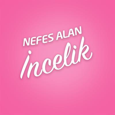 Molped Her Gün Ferahlık Günlük Ped 40Lı