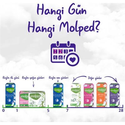 Molped İlk & Son Gün Günlük Ped 16Lı