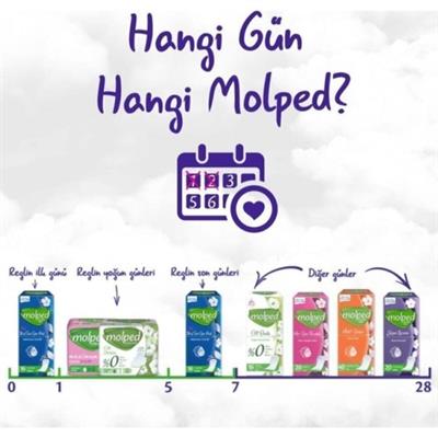 Molped Ilk  Son Gün Pedi Uzun Günlük Ped 24