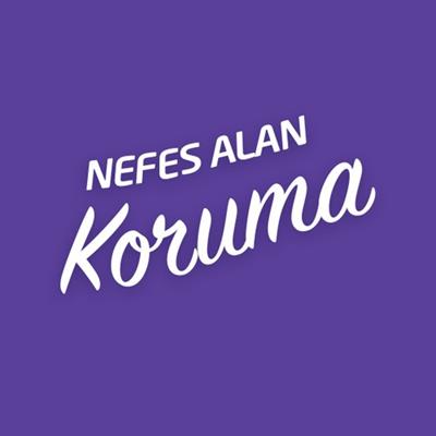 Molped Yoğun Koruma Günlük Ped 20Li