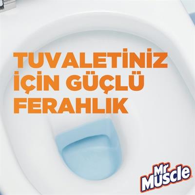 Mr Muscle Rezervuar Blok Tuvalet Temizleyici