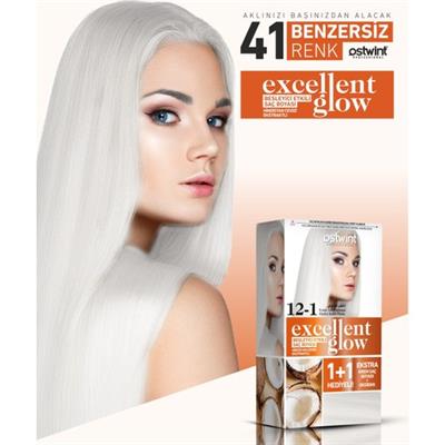 Ostwint Excellent Glow 1+1 Li Saç Boyası Seti No.12.1 Extra Küllü Platin