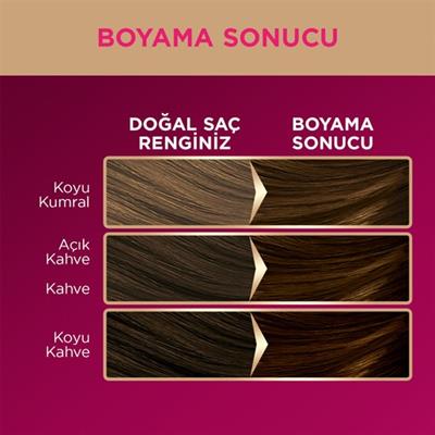 Palette Deluxe 4-65 Büyüleyici Kahve Zengin Yağ Bakımı Kit Saç Boyası Bakım Maskesi