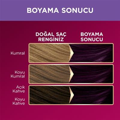 Palette Deluxe 4-99 Ametist Moru Zengin Yağ Bakımı Kit Saç Boyası Bakım Maskesi