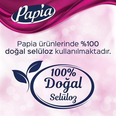 Papia Dekor Kağıt Havlu 12 Rulo