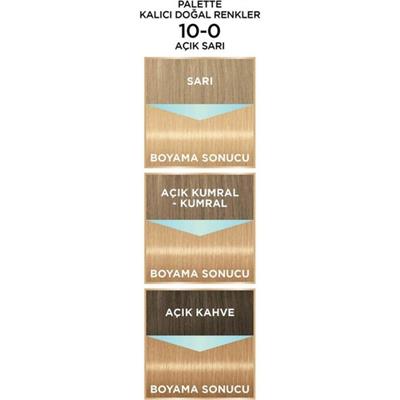 Schwarzkopf Palette Kalıcı Doğal Renkler 10-0 Açık Sarı Saç Boyası
