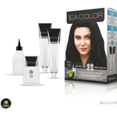SEA COLOR 1.0  Siyah Set Boya