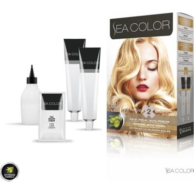 SEA COLOR 10.0  Sedef Sarı Set Boya