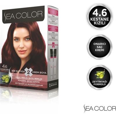SEA COLOR 4.6  Kestane Kızılı Set Boya