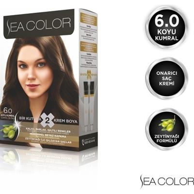 SEA COLOR 6.0  Koyu Kumral Set Boya