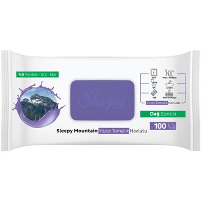 Sleepy Mountain Yüzey Temizlik Havlusu&mendili Dağ Esintisi 100 Yaprak