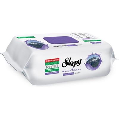 Sleepy Mountain Yüzey Temizlik Havlusu&mendili Dağ Esintisi 100 Yaprak