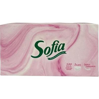 Sofıa Kutu Mendil 100LÜ