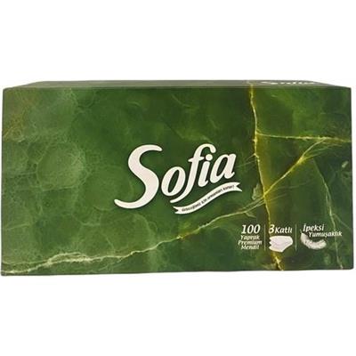 Sofıa Kutu Mendil 100LÜ