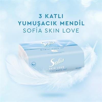 Sofia Skin Love Mendil 100lü