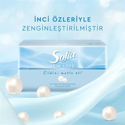 Sofia Skin Love Mendil 100lü