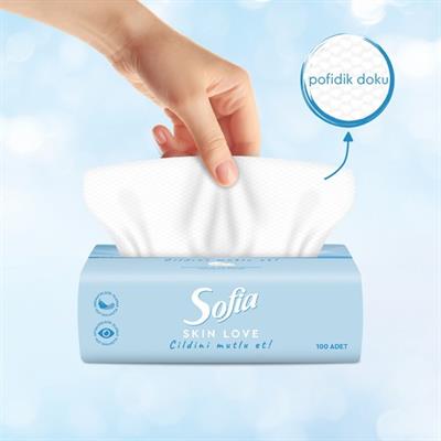 Sofia Skin Love Mendil 100lü