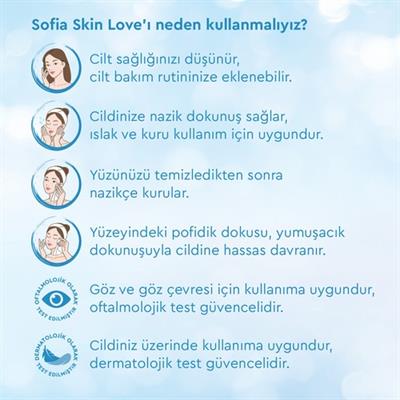 Sofia Skin Love Mendil 100lü