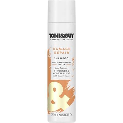 Toni&Guy Yıpranmış Saçlar İçin Şampuan 250 ml