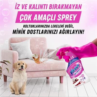 Vanish Oxi Action Çok Amaçlı Halı, Koltuk Ve Evcil Hayvan Leke Çıkarıcı Sprey 500 ml