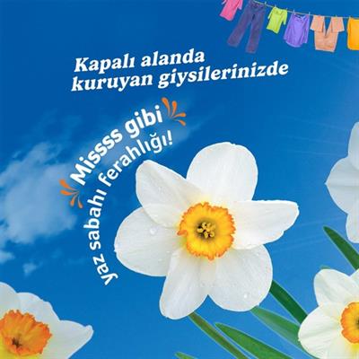 Yumoş Uzman Açık Hava Etkisi Yumuşatıcı 1200 ml