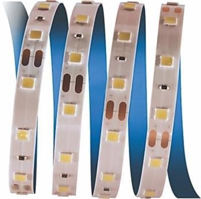CATA CT-4481 3 CIP IC MEKAN SERIT LED GUNISIGI