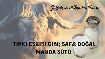 1 LİTRE MANDA SÜTÜ