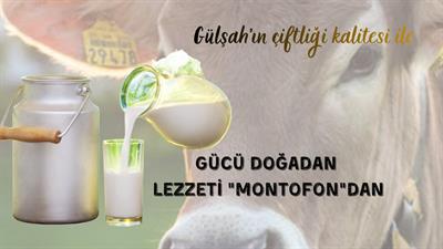 3 LİTRE MONTOFON SÜT