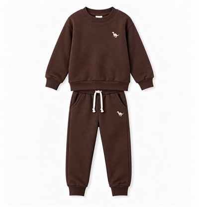 Erkek Çocuk Dinozor Nakışlı Bisiklet Yaka Sweatshirt Pantolon 2’li Alt Üst Takım