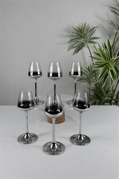 6'Lı Corvus Titanyum Gümüş Kahve Yanı Bardağı 60Ml