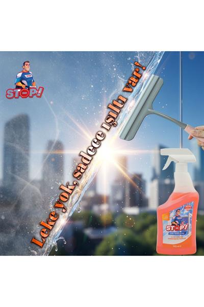 2li Cam Temizleyici Sprey 750 ml