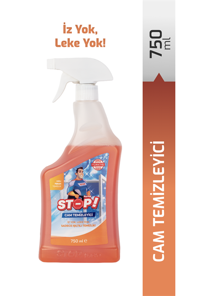 Cam Temizleyici Sprey 750 ml