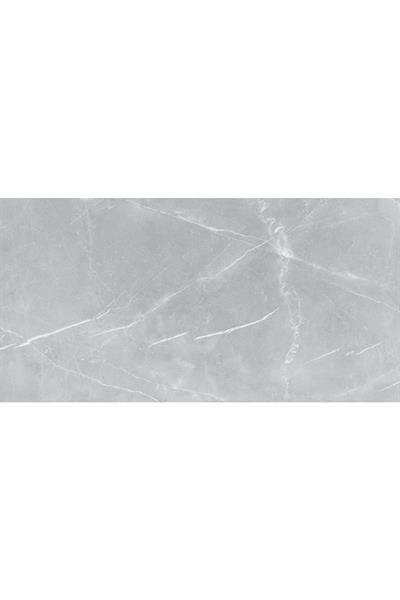 60X120 Aleats Gray