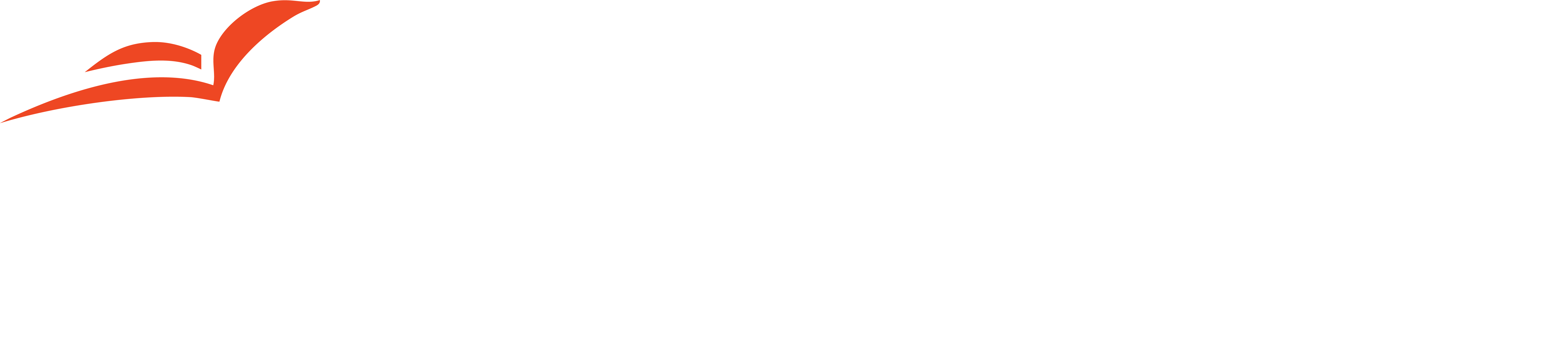 okurundan.com