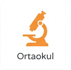 Ortaokul