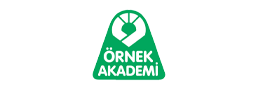 Örnek Akademi Yayınları