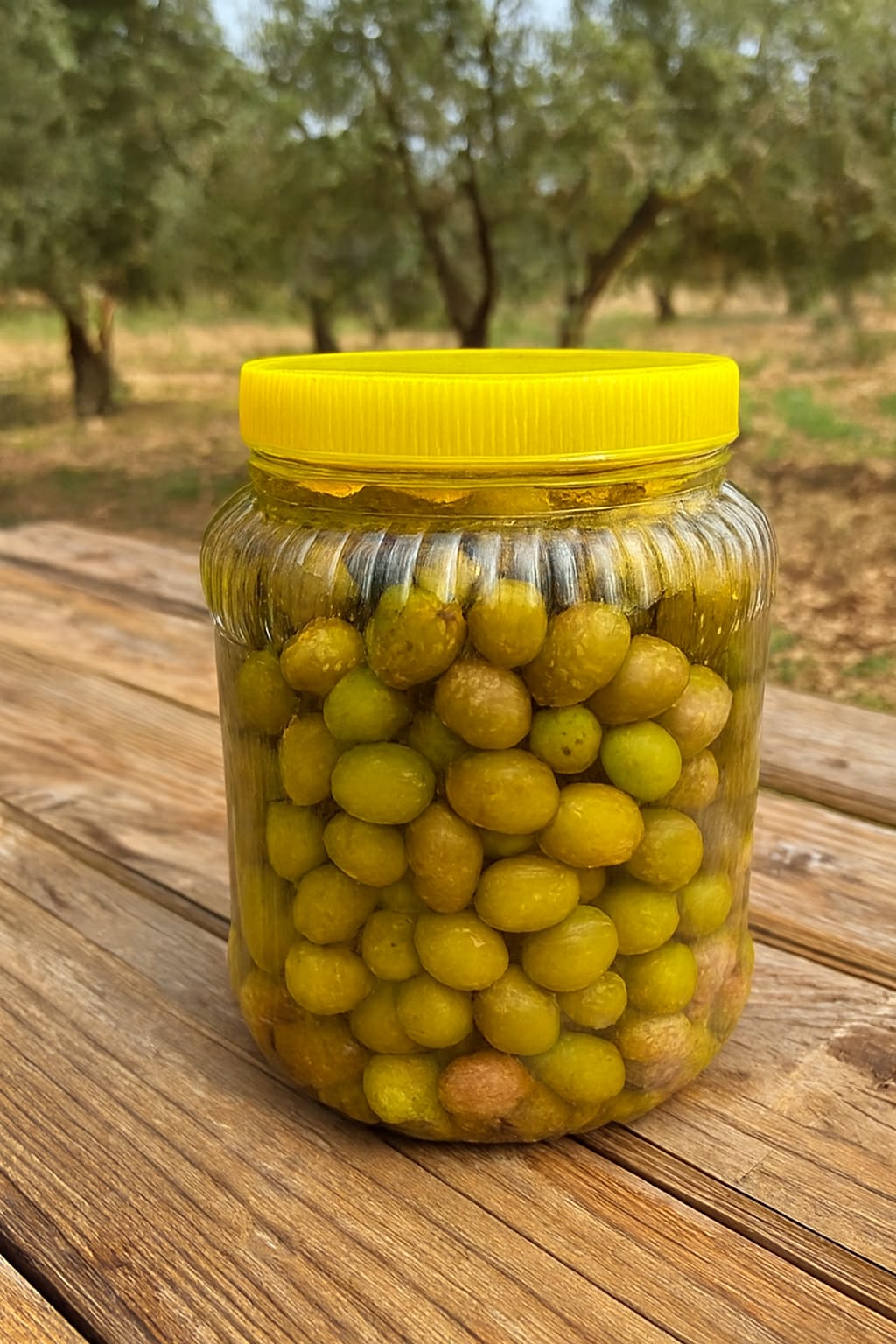 YEŞİL KIRMA ZEYTİN